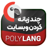 دانلود افزونه وردپرس Polylang Pro - چند زبانه کردن سایت پرمیوم نال شده